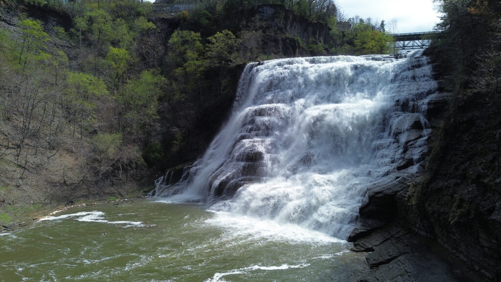 dcim100mediadji 0012.jpg